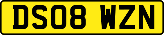 DS08WZN