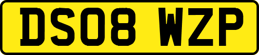 DS08WZP