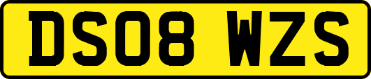 DS08WZS