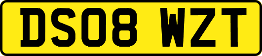 DS08WZT