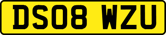 DS08WZU