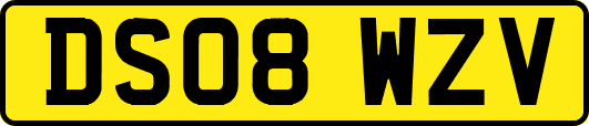 DS08WZV