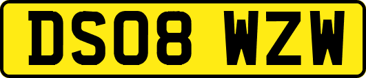 DS08WZW
