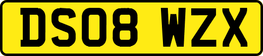 DS08WZX