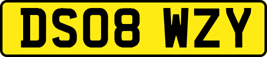 DS08WZY