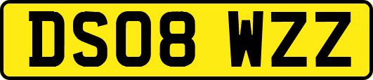 DS08WZZ
