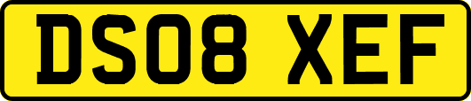 DS08XEF