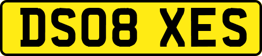 DS08XES