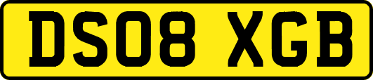 DS08XGB