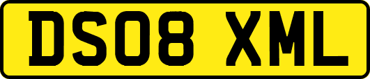 DS08XML