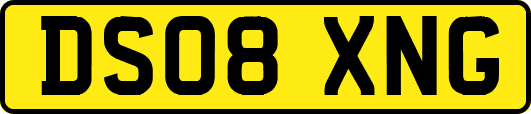 DS08XNG