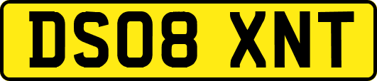 DS08XNT