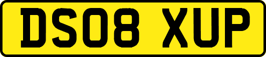 DS08XUP