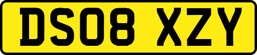 DS08XZY