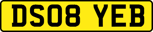 DS08YEB
