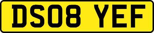 DS08YEF
