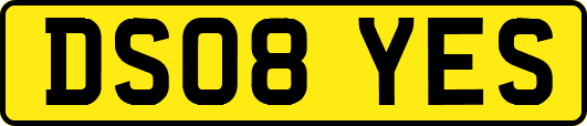 DS08YES