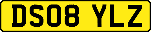 DS08YLZ