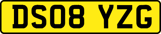 DS08YZG