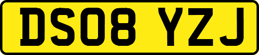 DS08YZJ