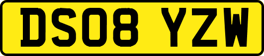 DS08YZW