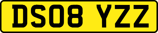 DS08YZZ