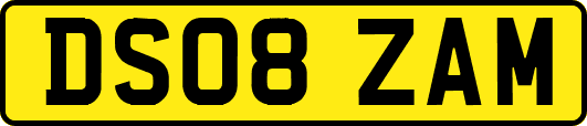 DS08ZAM