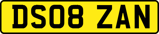 DS08ZAN