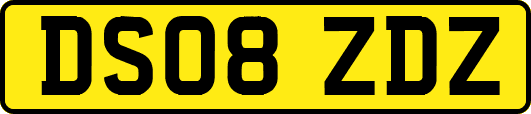 DS08ZDZ
