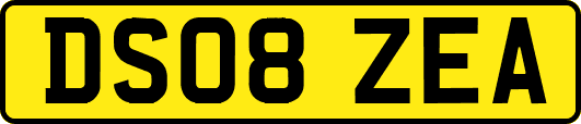 DS08ZEA
