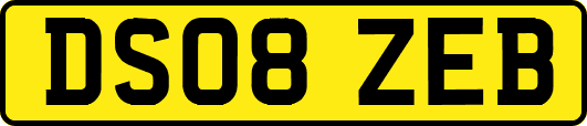 DS08ZEB