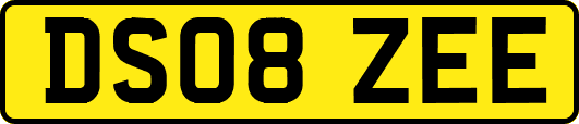 DS08ZEE