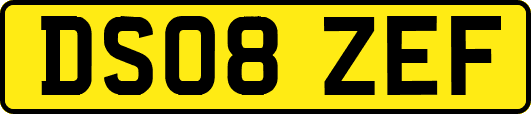 DS08ZEF