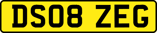 DS08ZEG