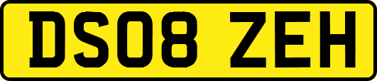 DS08ZEH