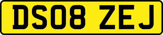 DS08ZEJ