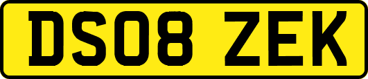 DS08ZEK