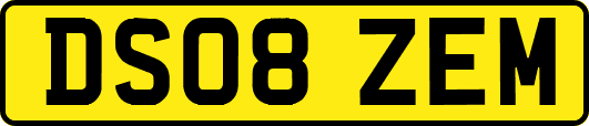 DS08ZEM