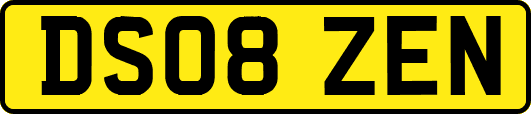 DS08ZEN