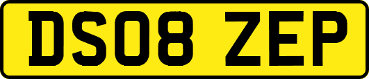 DS08ZEP