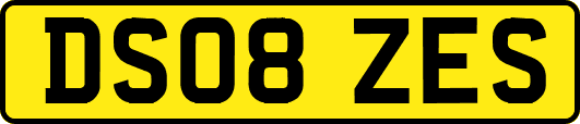 DS08ZES
