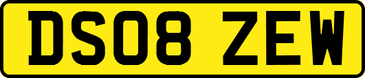 DS08ZEW