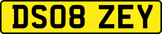 DS08ZEY
