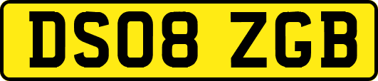 DS08ZGB