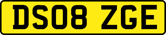 DS08ZGE