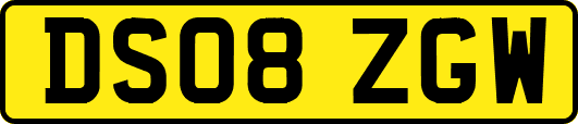 DS08ZGW