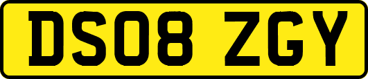 DS08ZGY