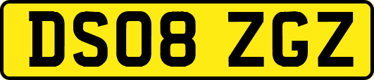 DS08ZGZ