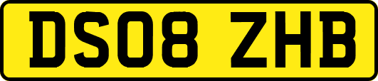 DS08ZHB