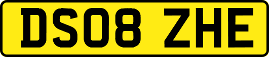 DS08ZHE